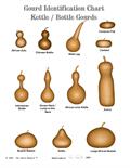 Calabash